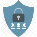 Privacy  Icon