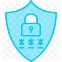 Privacy  Icon