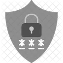 Privacy  Icon