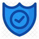 Privacy Security Protection Icon