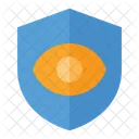 Privacy Protection Privacy Security Icon