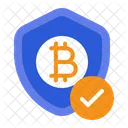 Private Key Cryptography Digital Security Icon