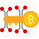 Private Key Security Encryption Icon