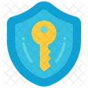 Privat Schlussel Sicherheit Icon