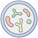 Probiotic Awesome Lineal Color Icon Icon