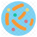 Probiotic Bacteria Digestion Science Biology Icon