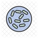 Probiotic Intestinal Healthy Icon