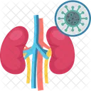 Problema renal  Icon