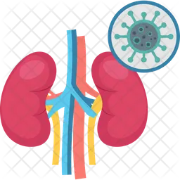 Problema renal  Ícone