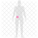 Problème de foie  Icône