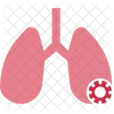 Interne Organes Respiratoires Icône