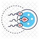 Fertilizacion Humana Proceso Reproductivo Embriogenesis Icono