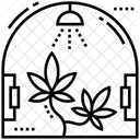 Producao De Cannabis Cultivo De Maconha Planta De Cannabis Ícone