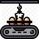Box Conveyor Eggs Icon