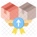 Product Development Product Upgrade Icon