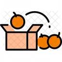 Product Packing Package Icon