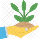 Professional Growth Business Icon