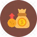 Profit Money Investment Icon