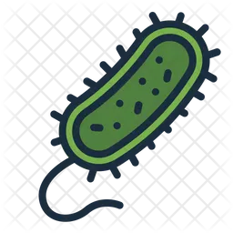 Prokaryote  Icon