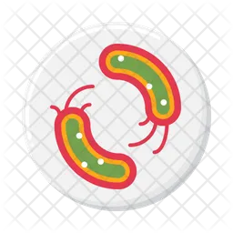 Prokaryote Bacteria  Icon