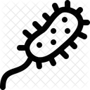 Prokaryoten  Symbol