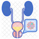 Prostatakrebs Krebs Uberprufen Symbol