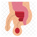 Prostate  Icon