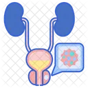 Prostate Cancer Cancer Check Icon