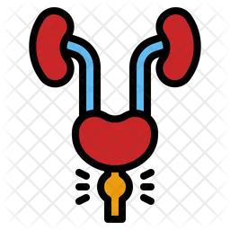 Prostate Cancer  Icon