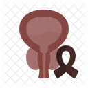 Prostate cancer  Icon