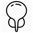  Icône