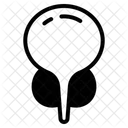  Icône