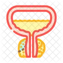 Prostatectomy Urology Nephrology Icon