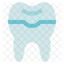 Dental Care Dentist Prothesis Icon