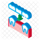 Prosthesis Teeth  Icon