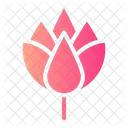 Protea Botanical Blossom Icon