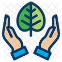 Save Nature Save Tree Protect Icon