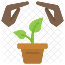 Protect Plant  Icon
