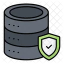 Protected Data Secure Data Data Safety Icon