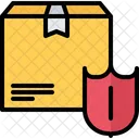 Protection Shield Box Icon