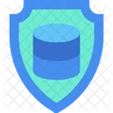 Protection Data Insurance Security Icon