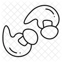  Icône