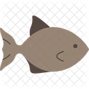 Protein Food High Protein Fish Meal Icon