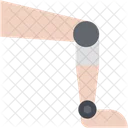 Protese Substituicao Anatomia Ícone