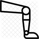 Protese Substituicao Anatomia Ícone