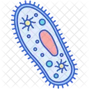 Protozoa Bacteriophage Vibrio Icon
