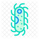 Protozoa Malaria Color Icon