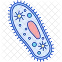 Protozoa Bacteriophage Vibrio Icon