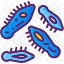 Protozoa  Icon
