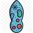 Protozoen  Symbol